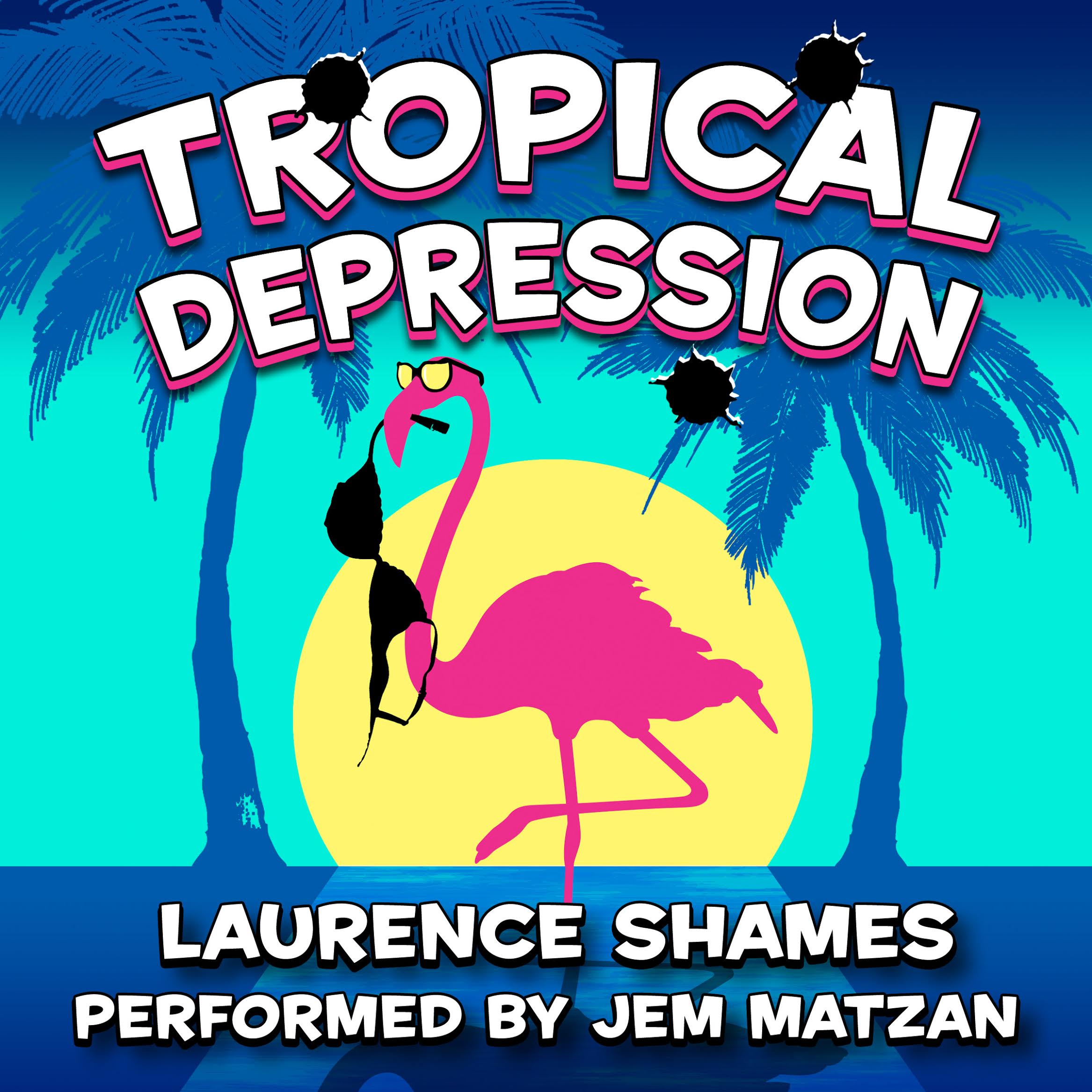 Tropical Depression florida fiction audiobook cover art